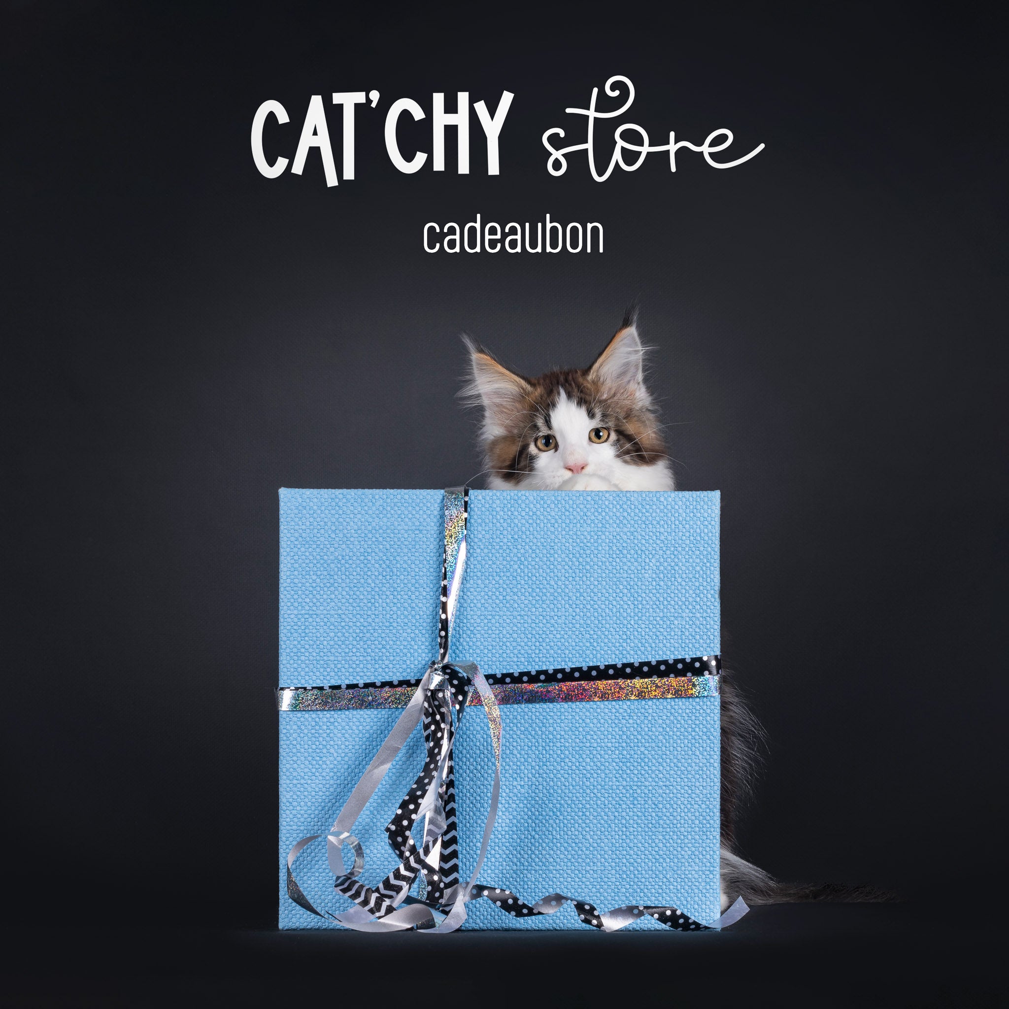 Cat'chy store cadeaubon