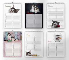 Verjaardagskalender met katten - Catchy Store
