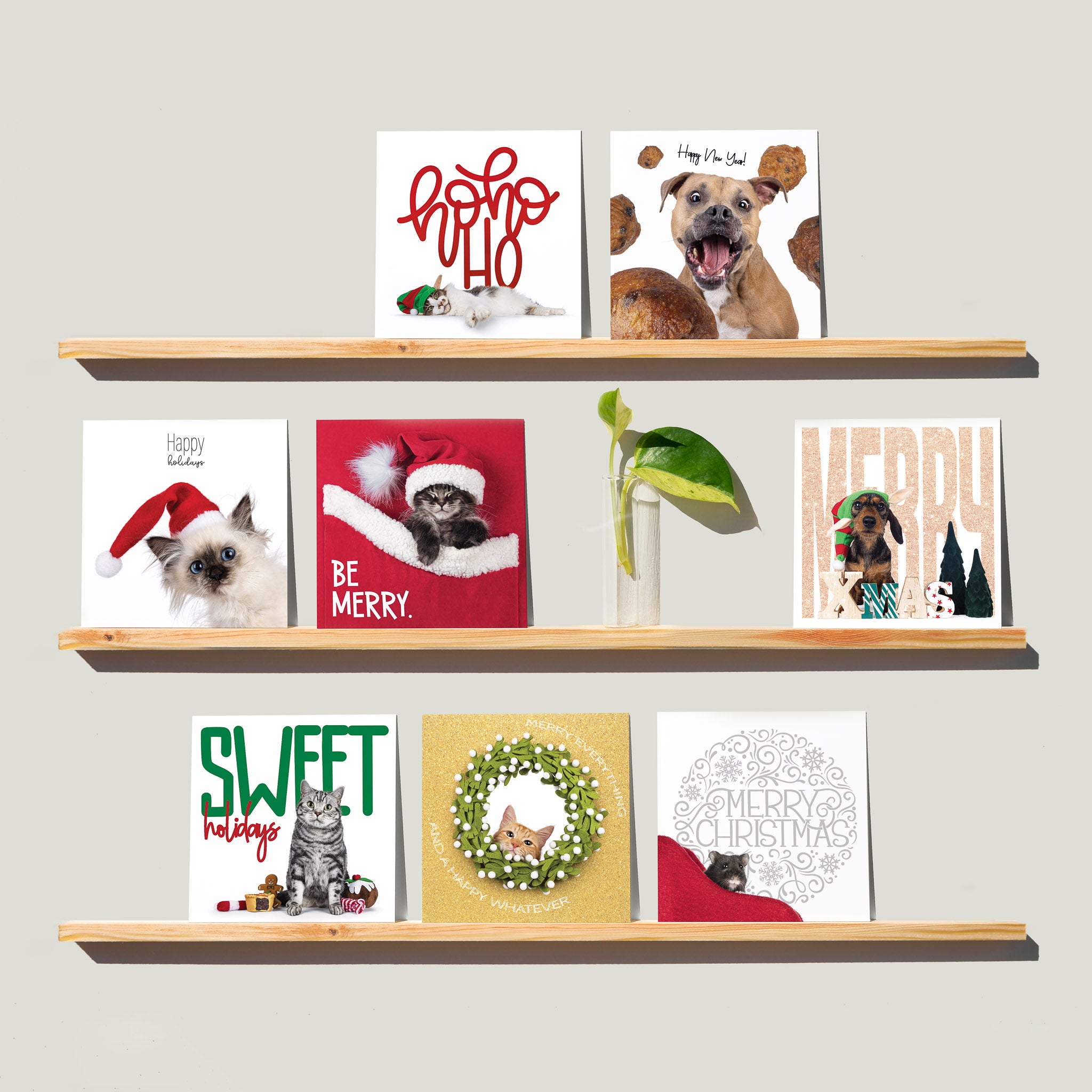 Set van 8 kerst dierenkaarten