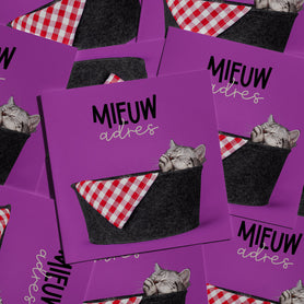 Set van 10 verhuiskaarten met kat