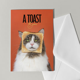 Verjaardagskaart met kat en toast - Catchy Store
