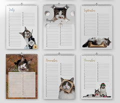 Verjaardagskalender met katten - Catchy Store
