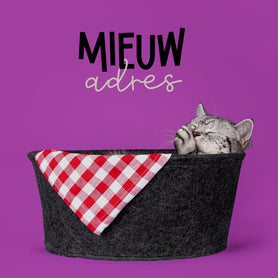 Verhuiskaart met kat - Cat'chy Store